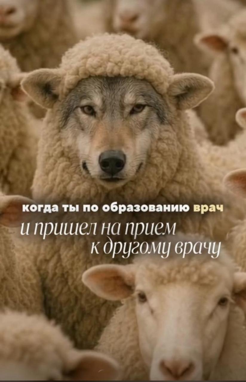 Приколюшные картинки - Бодибилдинг форум AnabolicShops