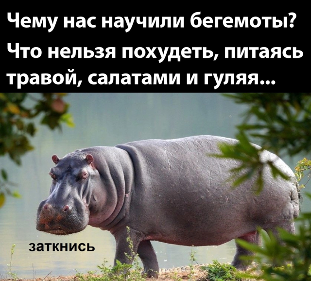 Курилка- разговоры на любые темы - Бодибилдинг форум AnabolicShops