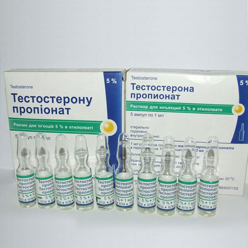Bayer - Бодибилдинг форум AnabolicShops
