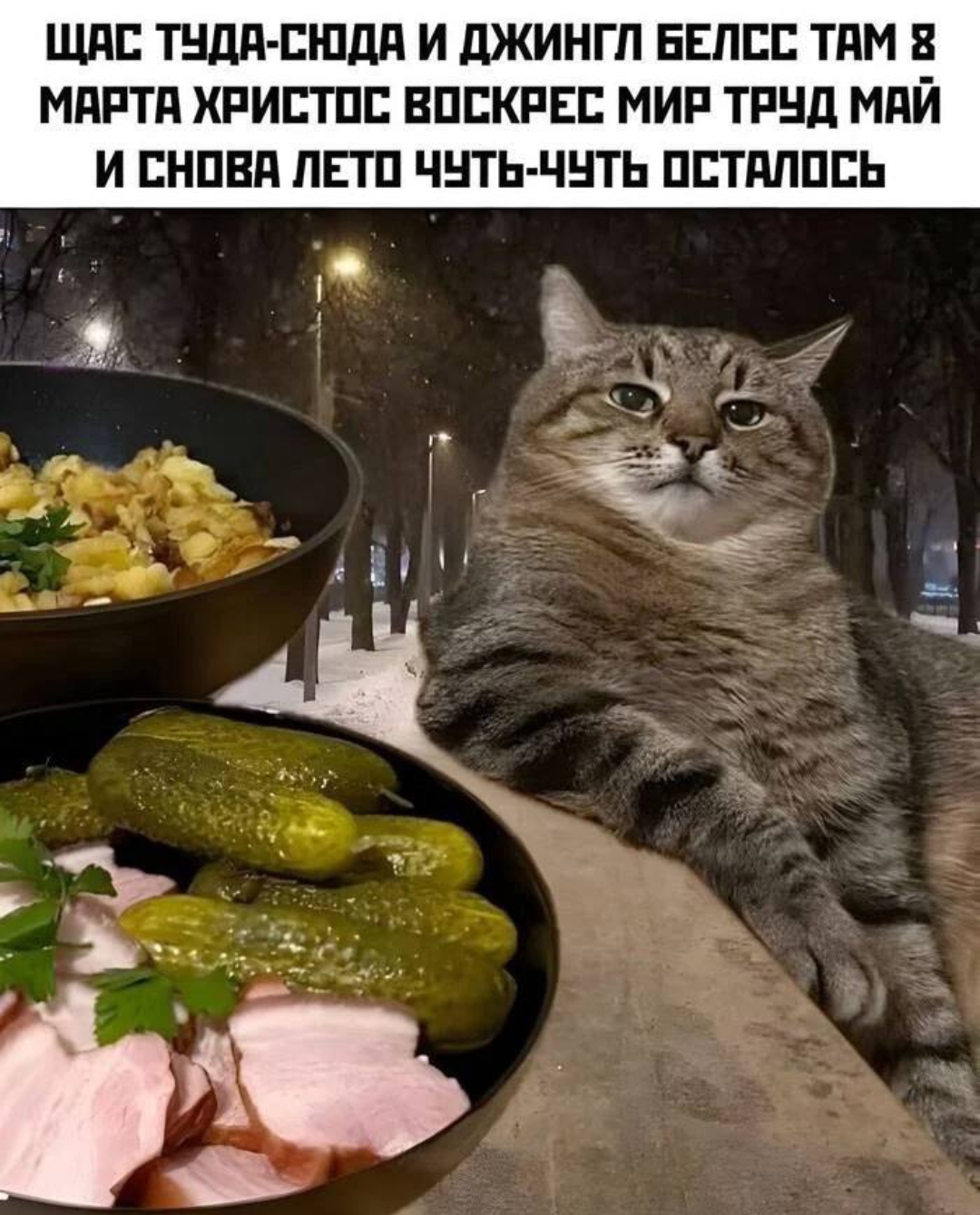 Курилка- разговоры на любые темы - Бодибилдинг форум AnabolicShops