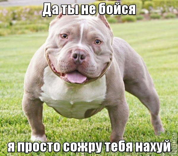 Sdelaitelo.BIZ - Бодибилдинг форум AnabolicShops