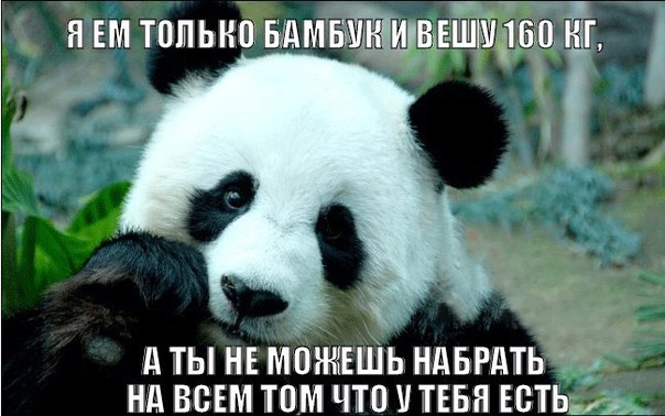 Sdelaitelo.BIZ - Бодибилдинг форум AnabolicShops