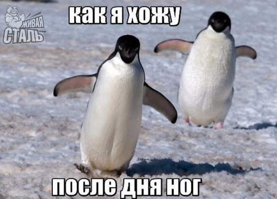Магазин Фрэнка. Pharmacom Labs Official. Марка №1 в Мире! - Бодибилдинг форум AnabolicShops