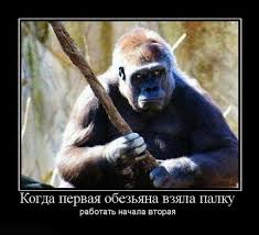 italicafarm.com - Бодибилдинг форум AnabolicShops