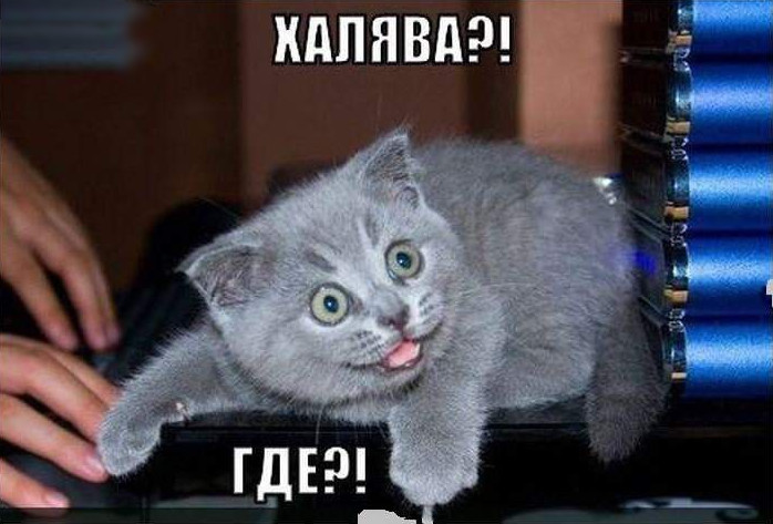 DevilsPharm.in.th - Бодибилдинг форум AnabolicShops