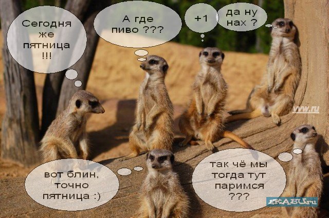 GazGaz.net  Online Shop Временно не заказывать! Возможны провокации сотрудников! - Бодибилдинг форум AnabolicShops