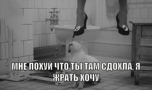 Курилка- разговоры на любые темы - Бодибилдинг форум AnabolicShops