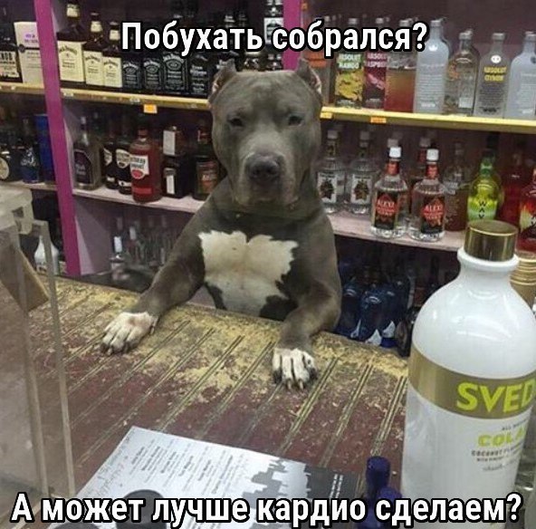Курилка- разговоры на любые темы - Бодибилдинг форум AnabolicShops