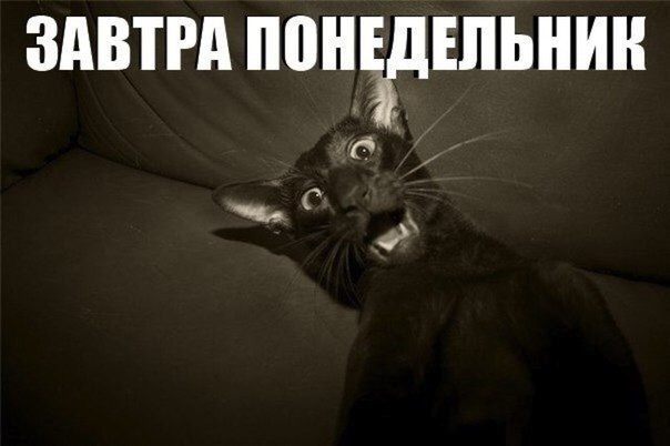 Курилка- разговоры на любые темы - Бодибилдинг форум AnabolicShops
