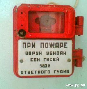 Курилка- разговоры на любые темы - Бодибилдинг форум AnabolicShops