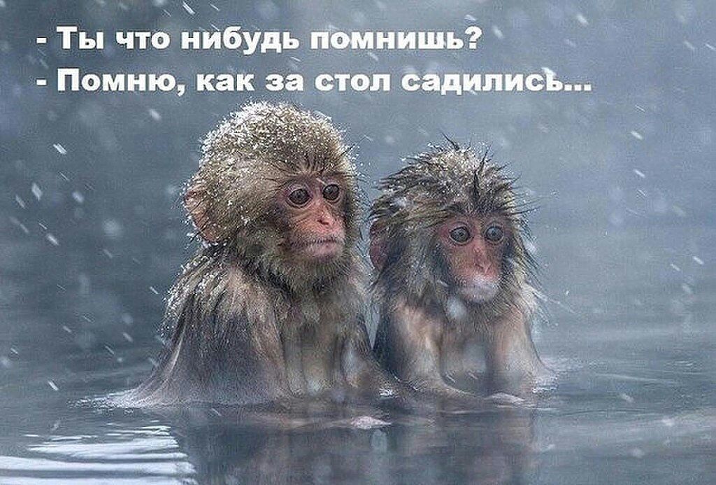 Курилка- разговоры на любые темы - Бодибилдинг форум AnabolicShops