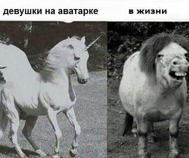 Курилка- разговоры на любые темы - Бодибилдинг форум AnabolicShops