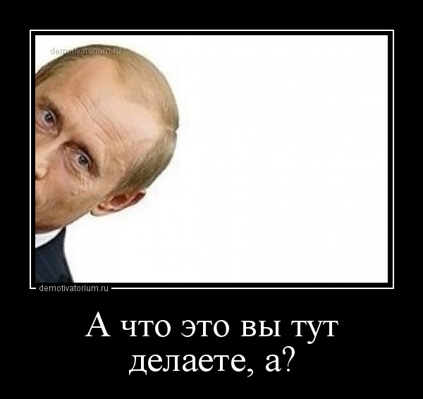 НАШ ПРИДВОРНЫЙ ШУТ))) У тебя плохое настроение? Не беда... просто читай и получай заряд бодрости! - Бодибилдинг форум AnabolicShops