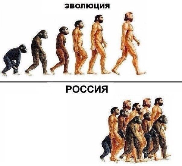 Курилка- разговоры на любые темы - Бодибилдинг форум AnabolicShops
