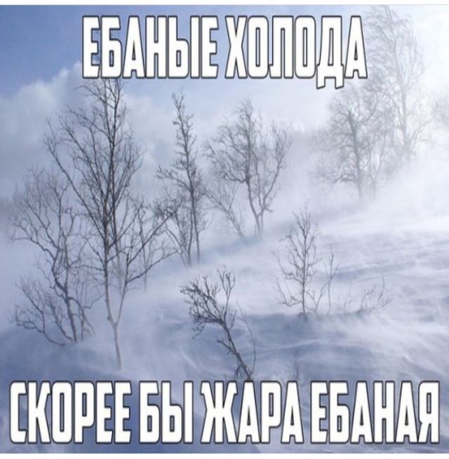 Курилка- разговоры на любые темы - Бодибилдинг форум AnabolicShops