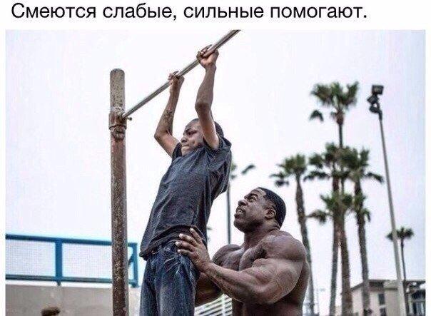 Thomas&Co - Медицинское качество. - Бодибилдинг форум AnabolicShops