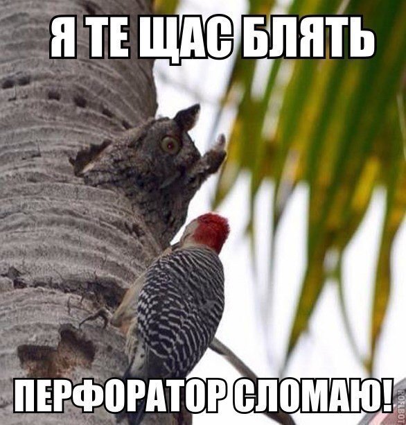 Анекдоты обо всем - Бодибилдинг форум AnabolicShops