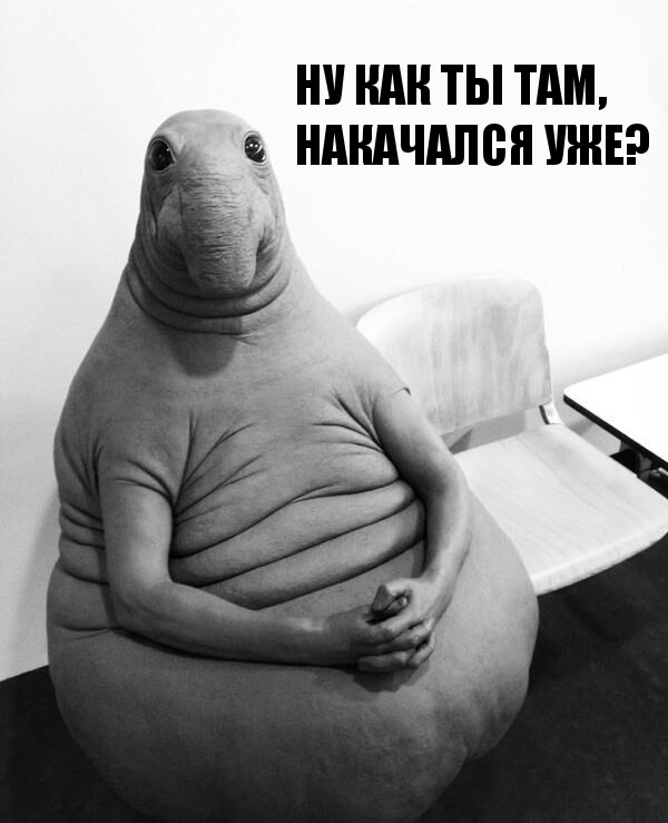 Thomas&Co - Медицинское качество. - Бодибилдинг форум AnabolicShops