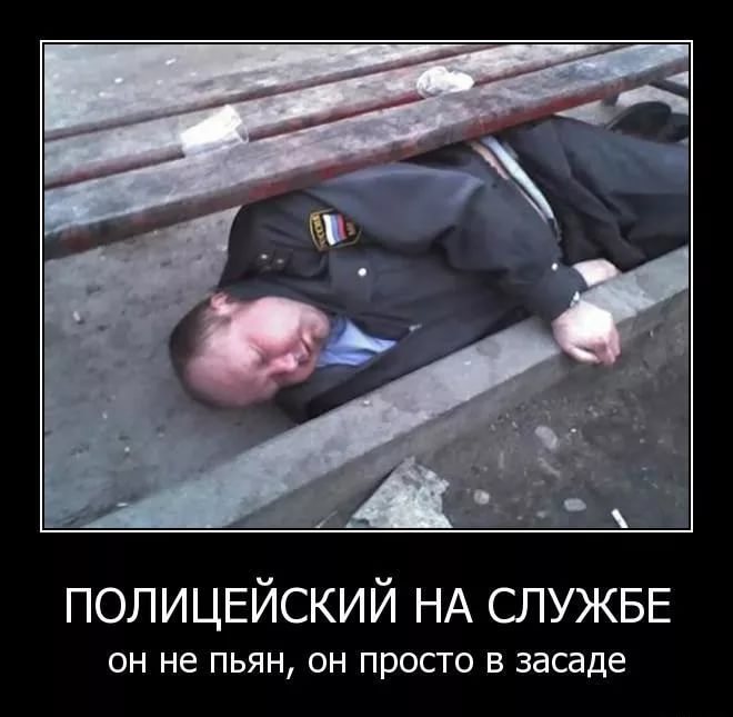 Good-Outlet.ru !!! РФ-РФ Розница по ОПТовым ценам каждую субботу !!!+Подарок в каждый заказ - Бодибилдинг форум AnabolicShops