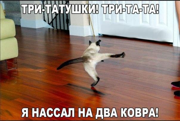 Mita-pharma. - Бодибилдинг форум AnabolicShops