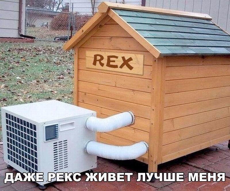 Курилка- разговоры на любые темы - Бодибилдинг форум AnabolicShops