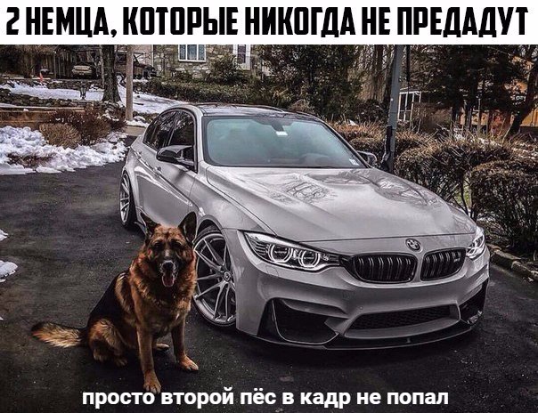 Курилка- разговоры на любые темы - Бодибилдинг форум AnabolicShops