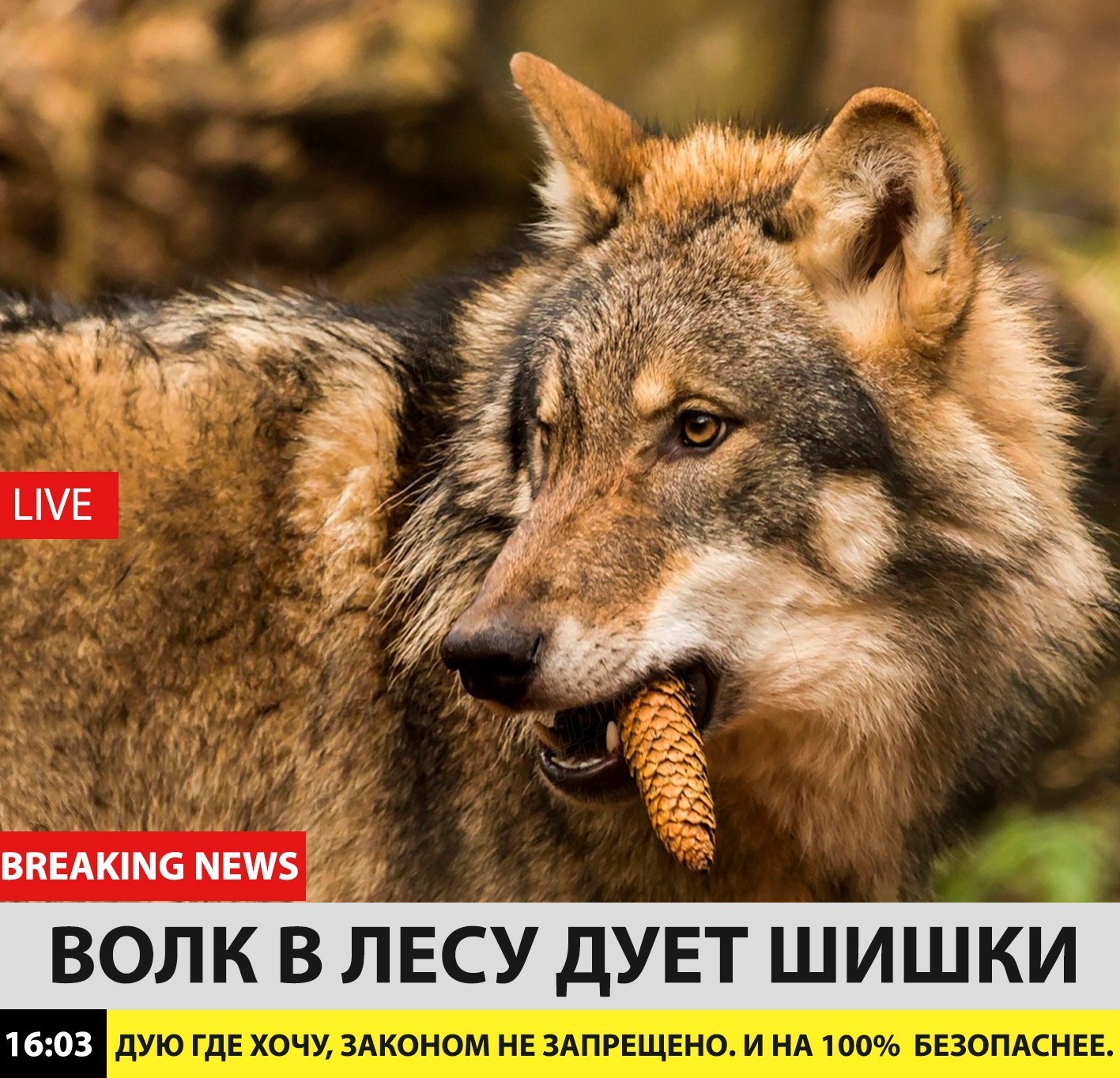 Курилка- разговоры на любые темы - Бодибилдинг форум AnabolicShops