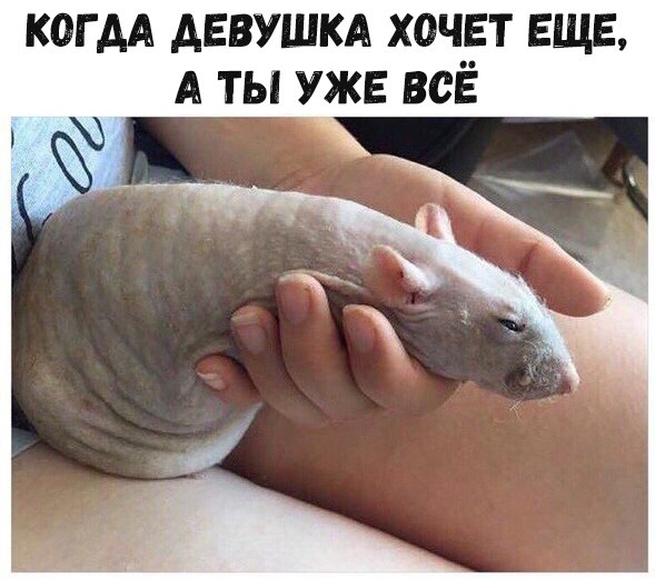 Курилка- разговоры на любые темы - Бодибилдинг форум AnabolicShops