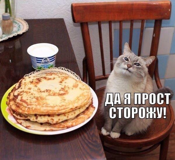 Курилка- разговоры на любые темы - Бодибилдинг форум AnabolicShops