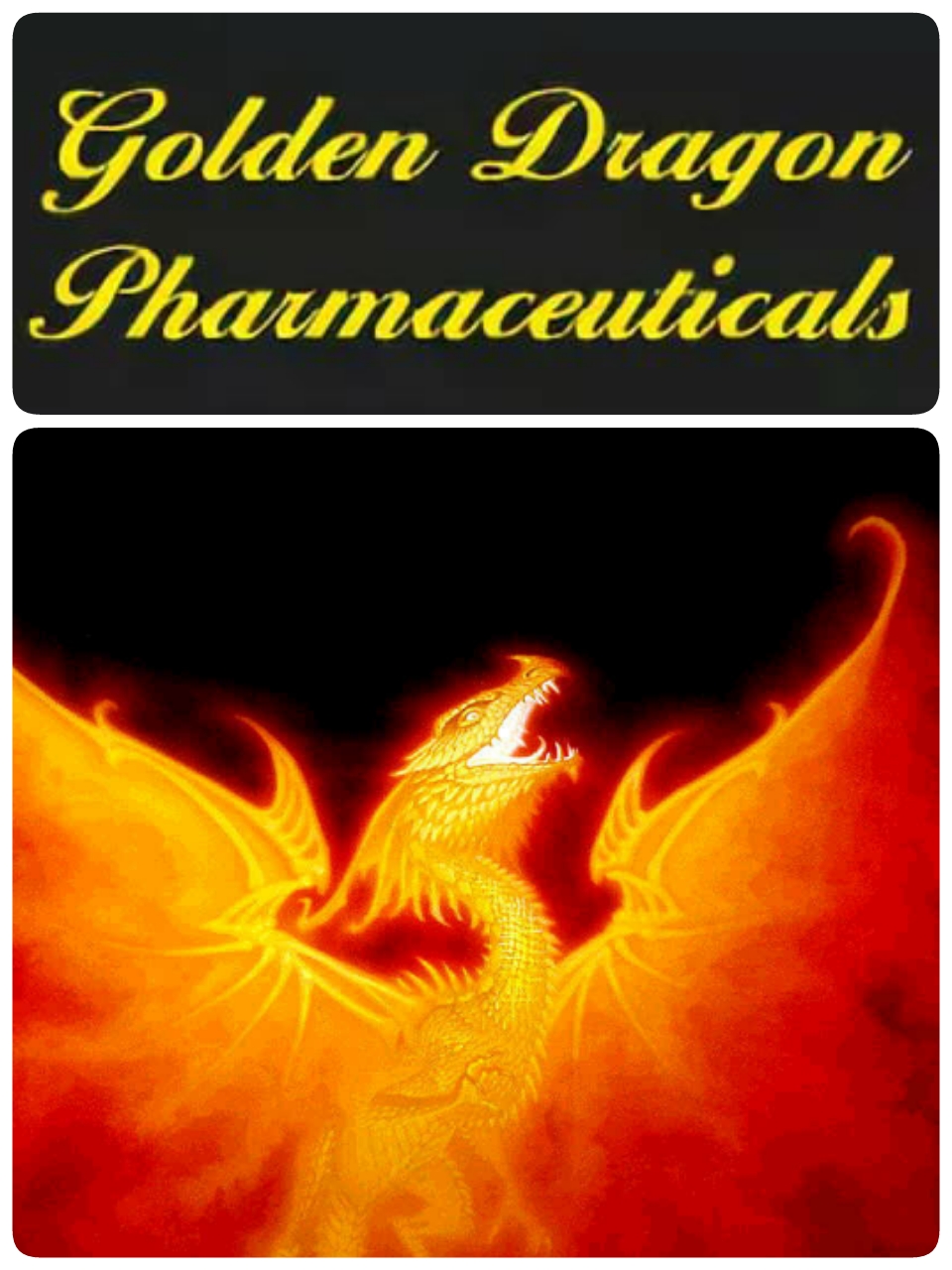 Golden Drаgon! Конкурс на 30 тыс. рублей до 21 ноября! - Бодибилдинг форум AnabolicShops