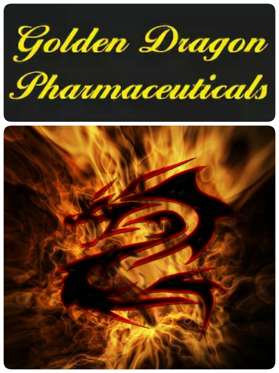 Golden Drаgon! Конкурс на 30 тыс. рублей до 21 ноября! - Бодибилдинг форум AnabolicShops