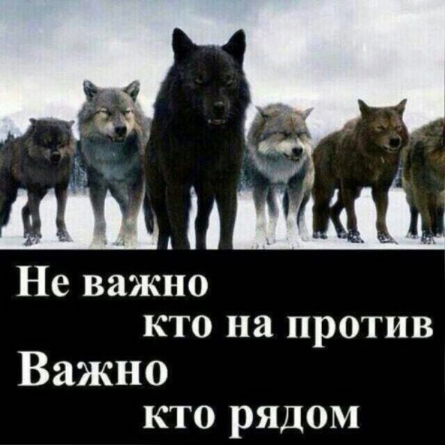 Курилка- разговоры на любые темы - Бодибилдинг форум AnabolicShops