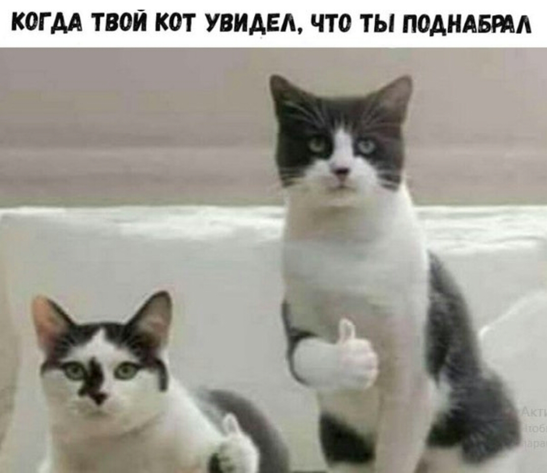 Курилка- разговоры на любые темы - Бодибилдинг форум AnabolicShops