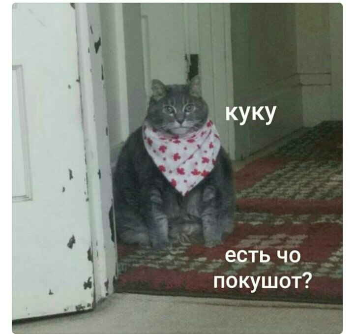 Курилка- разговоры на любые темы - Бодибилдинг форум AnabolicShops