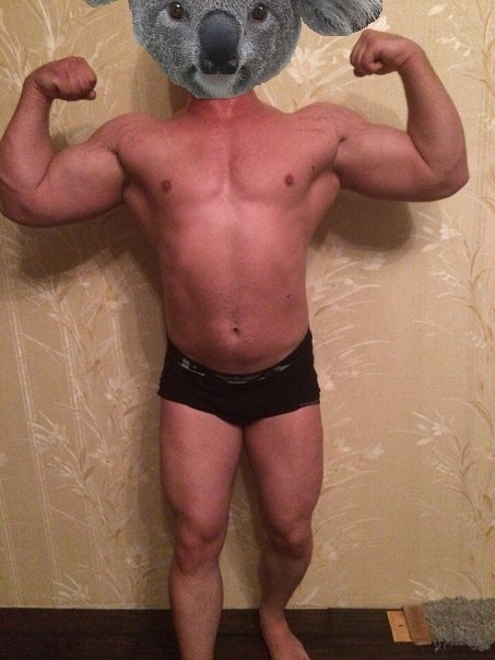 Кищробу  + Fatus + Сухарь - Бодибилдинг форум AnabolicShops