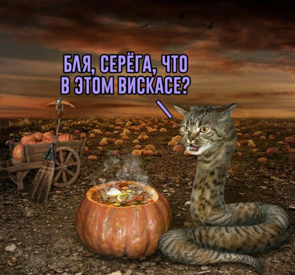 Курилка- разговоры на любые темы - Бодибилдинг форум AnabolicShops