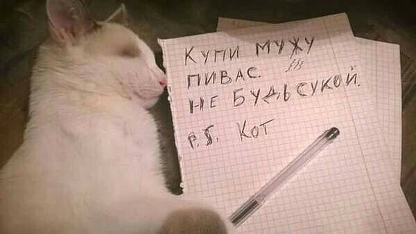 Курилка- разговоры на любые темы - Бодибилдинг форум AnabolicShops