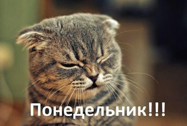 Курилка- разговоры на любые темы - Бодибилдинг форум AnabolicShops