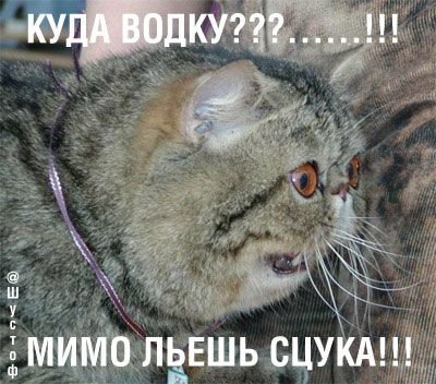 Курилка- разговоры на любые темы - Бодибилдинг форум AnabolicShops