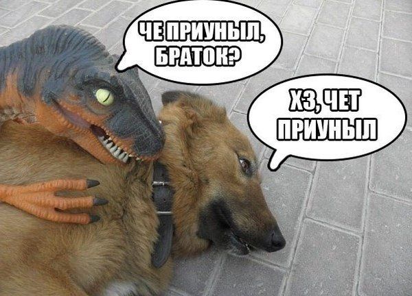 Курилка- разговоры на любые темы - Бодибилдинг форум AnabolicShops