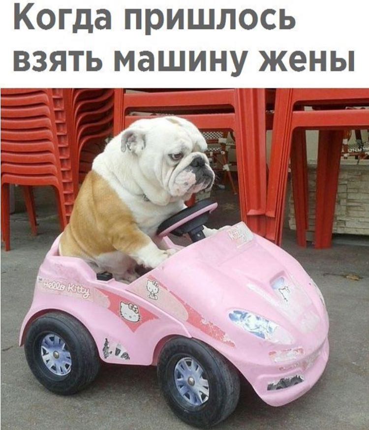 Курилка- разговоры на любые темы - Бодибилдинг форум AnabolicShops