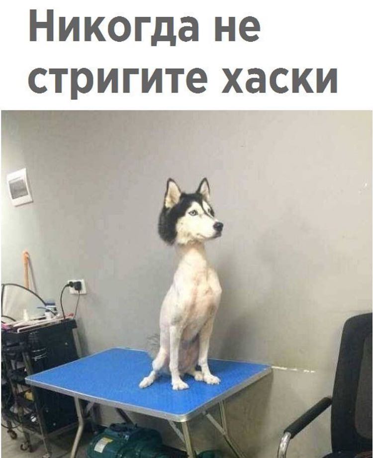 Курилка- разговоры на любые темы - Бодибилдинг форум AnabolicShops