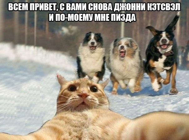 Курилка- разговоры на любые темы - Бодибилдинг форум AnabolicShops