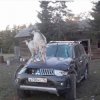 ✪ Красивые машины и мотоциклы ✪ - Бодибилдинг форум AnabolicShops