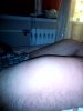 DevilsPharm.in.th - Бодибилдинг форум AnabolicShops