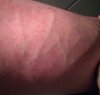 Розница по цене опта!!! До -40% на все! Regart Pharm - Официальный представитель! - Бодибилдинг форум AnabolicShops
