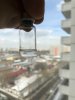 Витрина Анатолия Самого. - Бодибилдинг форум AnabolicShops