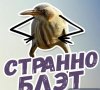 Пляжник за 5 недель  Астрахань - Бодибилдинг форум AnabolicShops