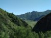 ardent блог заруба 