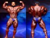 Результаты противостояния Рулли Винклаара VS Натана ДеАша на EVLS Prague Pro 2018 - Бодибилдинг форум AnabolicShops